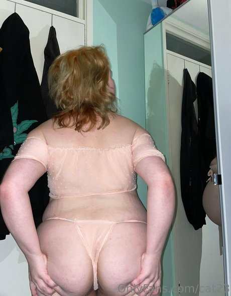 cat23 アートスター 画像