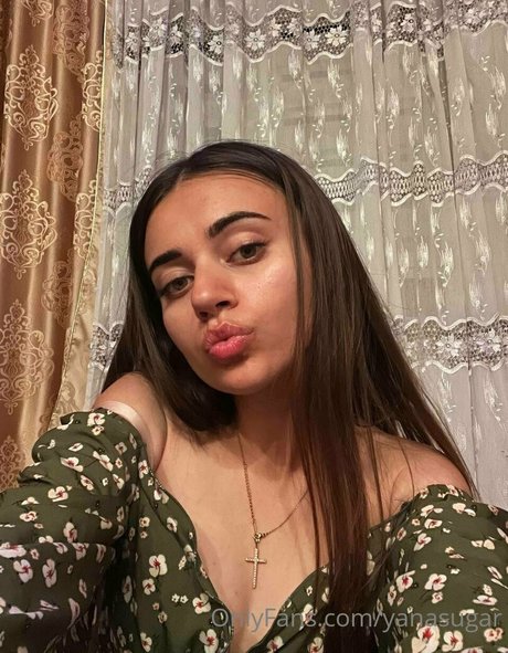 yanasugar アートスター 写真