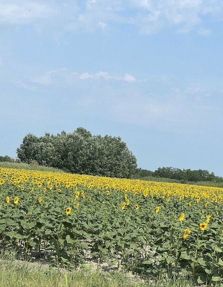 ぽっちゃりファックオンリーファンズ アートポルノ 画像