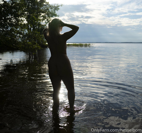 hesselbom 無料モデル 画像