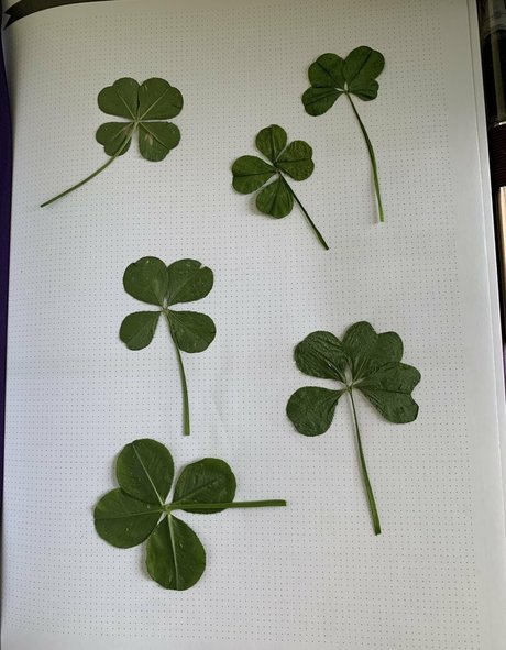 カーリーエボニーオンリーファンズ 美しいポルノ 写真