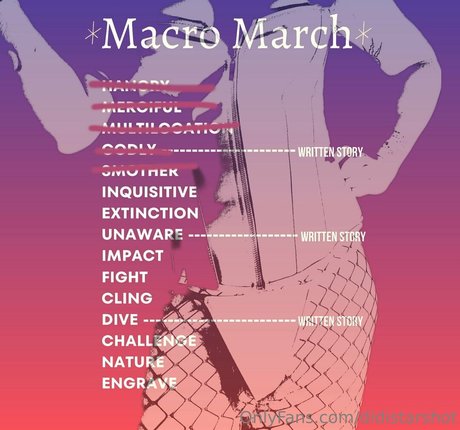 didistarshot 写真集