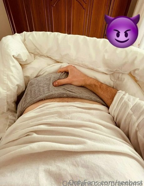 promome アートスター 写真