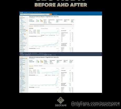 promome セクシーなスター 画像