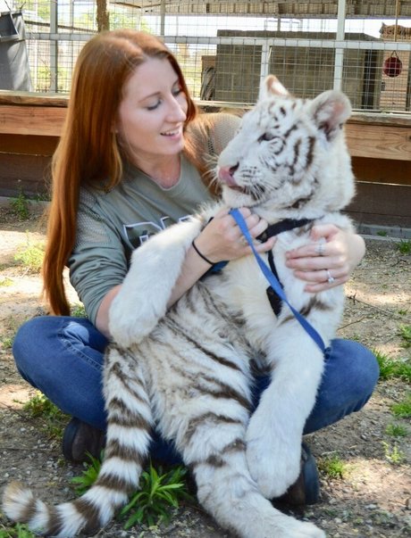 tigerqueen_ ヌードのポルノスター 写真