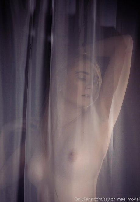 taylor mae model ポルノスター ベスト 写真