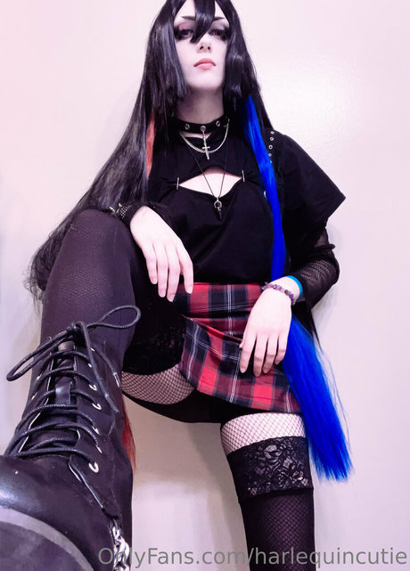 harlequincutie かわいいスター 写真