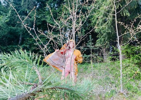 shadeofme ホットなスター 写真