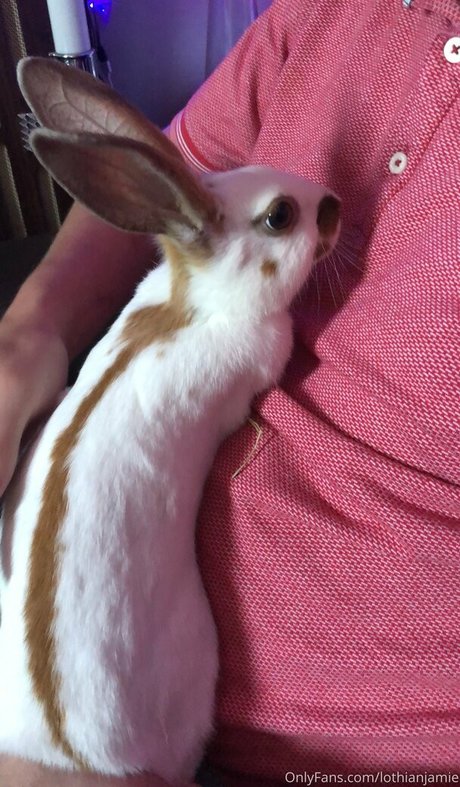 lothianjamie 写真集