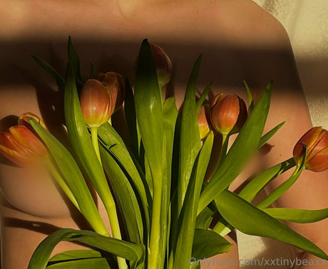 xxtinybeaxx xxxモデル 写真