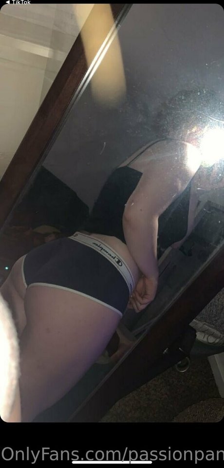 passionpanda01 HDモデル 写真