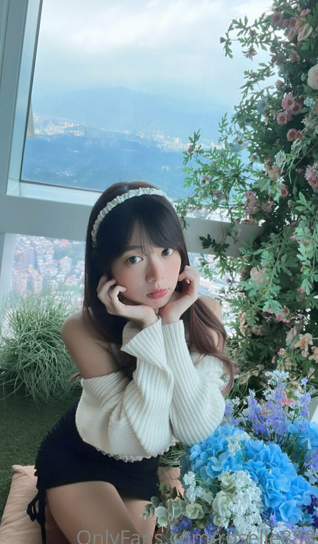 roselle888 HDスター 写真