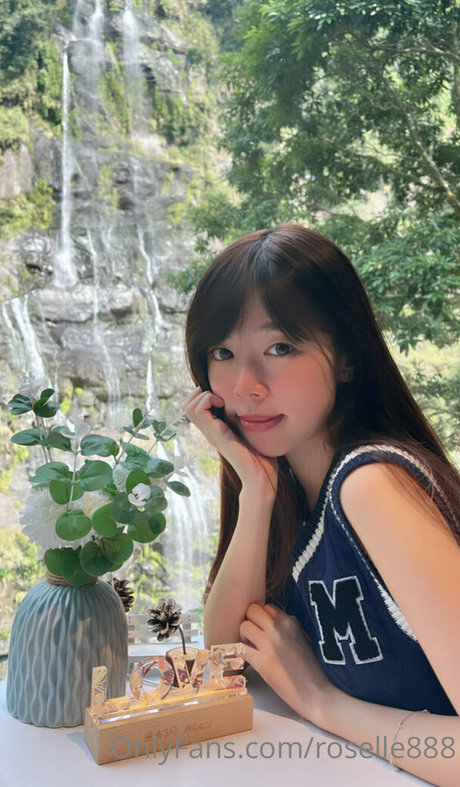 タンオンリーファン パーフェクト アーカイブ