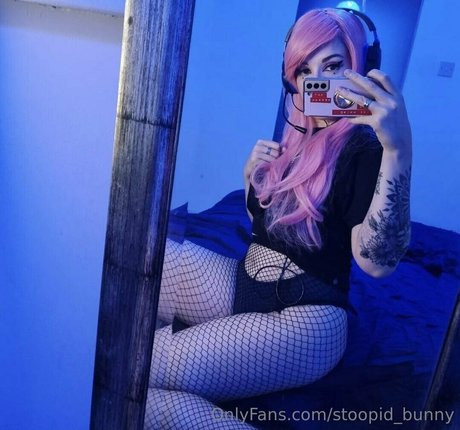 stoopid bunny 完璧なスター 写真