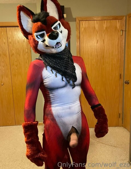 wolf ezo ホットモデル 写真