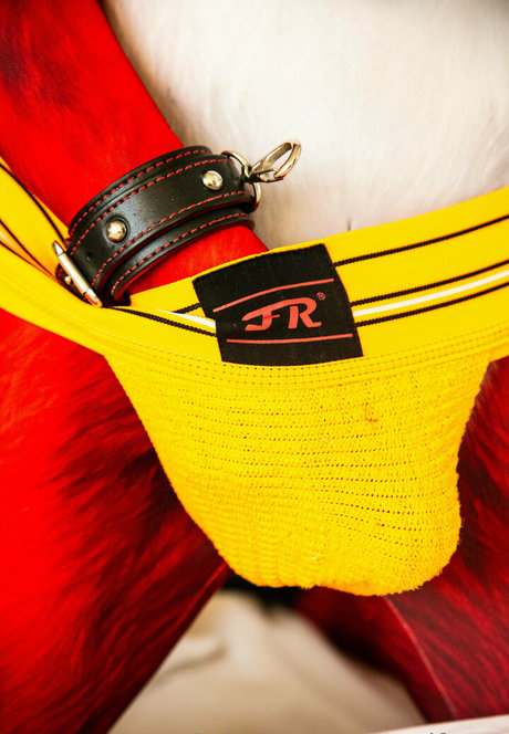 wolf ezo かわいいスター 写真