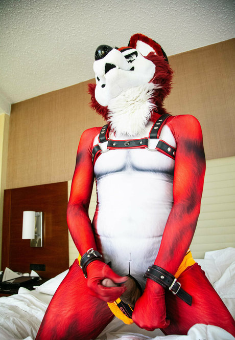 wolf ezo セクシーなポルノスター 写真