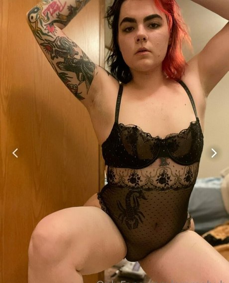 promohub ホットスター ギャラリー