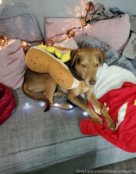 JuicyPinaypple ヌードモデル 画像