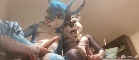 stallionwolf ヌード女優 写真