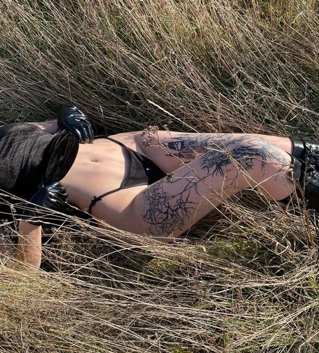 Blairdahlia 完璧なスター ギャラリー