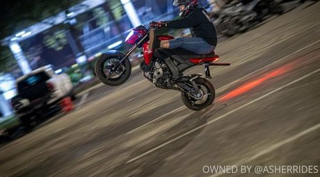 asherridesfree セックススター 写真