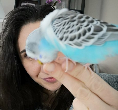 黒檀ペッギングオンリーファンズ 美しいヌード 画像