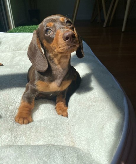 JOI オンリーファンズ ポルノ アーカイブ