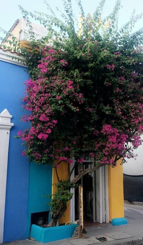 galacticgypsy28 高品質のスター 画像