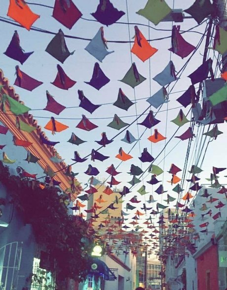 galacticgypsy28 ポルノスター 可愛い 写真