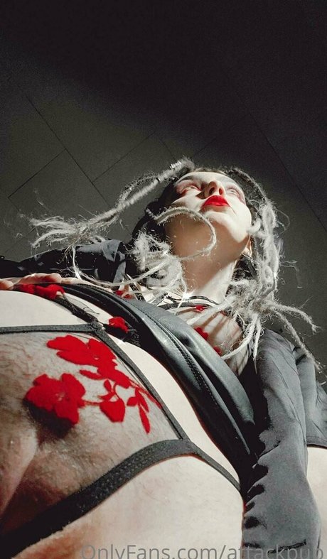 attackpup 無料のスター 写真