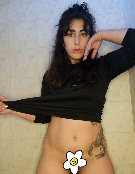 softhney 無料モデル ギャラリー