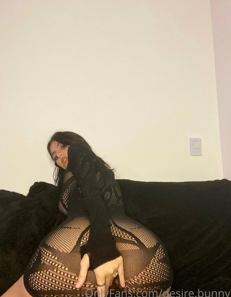 desire bunny 限定モデル 写真