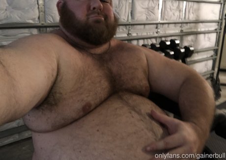 gainerbull トップモデル ギャラリー