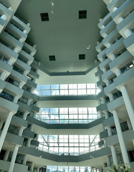 loandthecosmos2 無料スター 写真