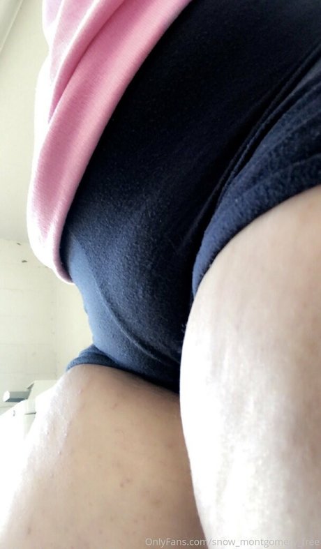 snow montgomery free 独占モデル 画像