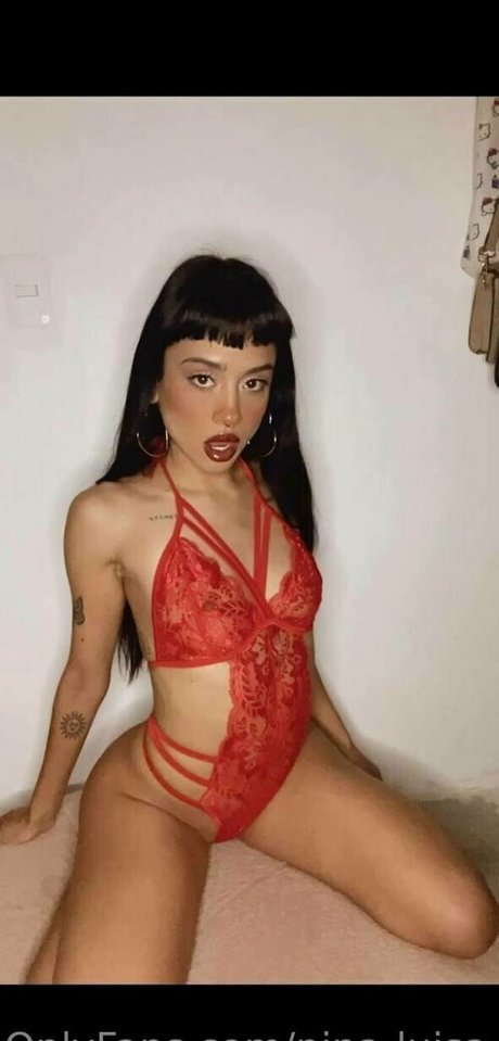 nina luisa HD女優 写真