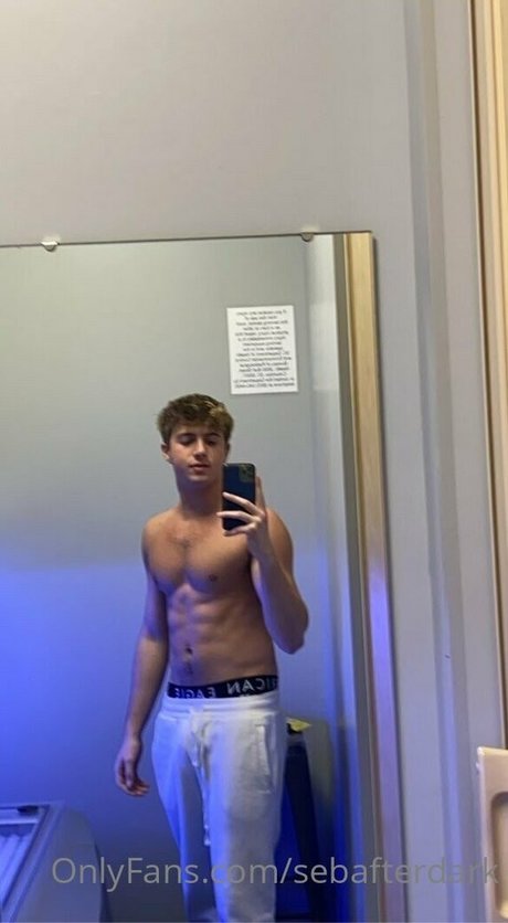 sebafterdark ポルノスター アート 画像