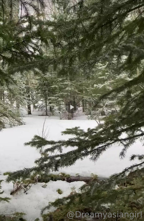 dreamyasiangirlvids トップスター 写真