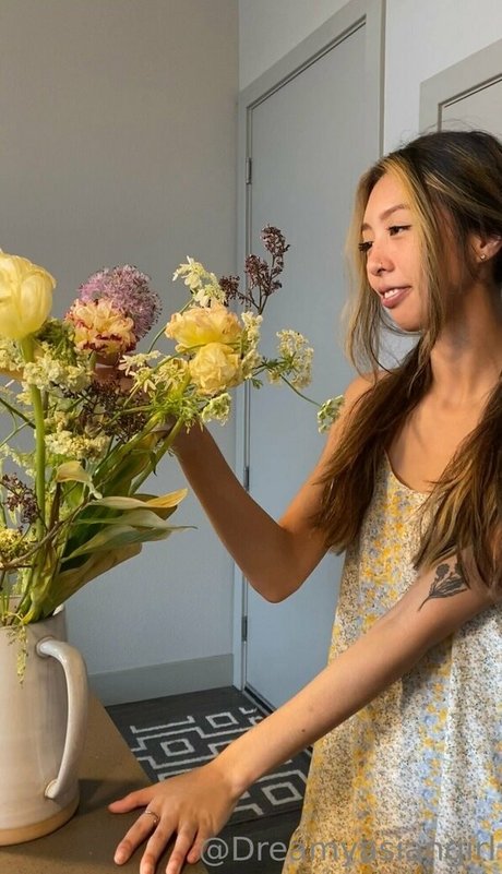 dreamyasiangirlvids トップスター 画像