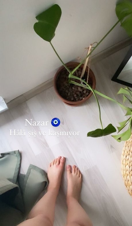 アナル乱交オンリーファンズ 無料 写真