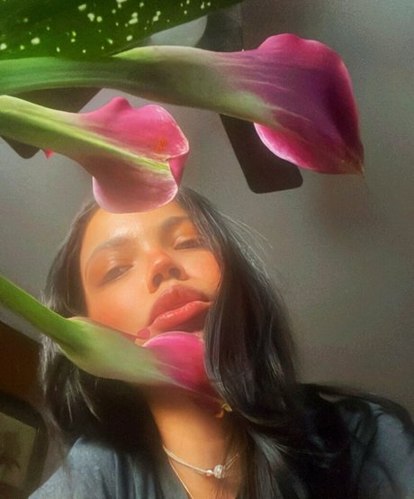 Miss Cheeks 完璧なスター アーカイブ