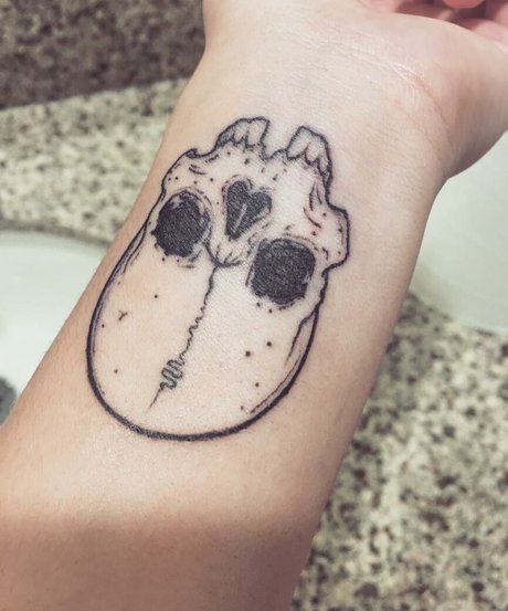 Kami sama セクシー女優 ギャラリー