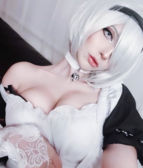 Choukandii 素敵なスター 写真