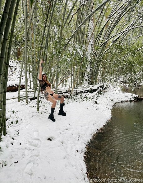 hotdonna666free セクシーモデル 画像