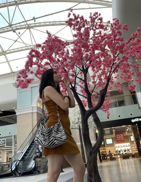 ぽっちゃりティーンオンリーファンズ パーフェクト 写真