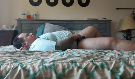 celtic bear 完璧なスター 画像