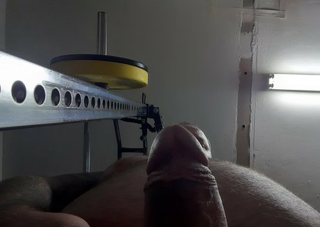 celtic bear 素敵なモデル 画像