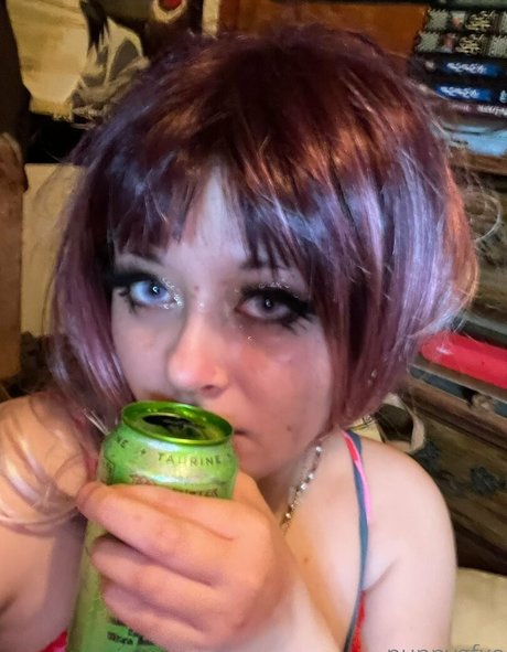 puppygfxo HDスター 写真