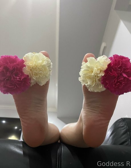 acebosswoman 完璧なスター 画像